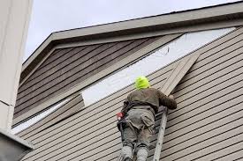 Best Siding Painting and Refinishing  in Washington Park, IL